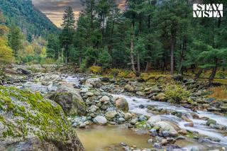 StayVista at The Bear Necessities - Srinagar - 7