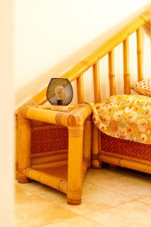 Fenêtre sur la Savane - 5