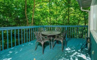 Ski Mountain Hideaway 1154 - Gatlinburg - 7