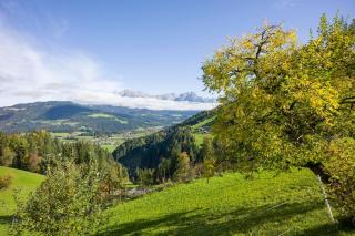 Hörl "Vordertagleiten", Ferienwohnung - Söll - 7