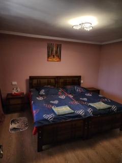 my home - Kutaisi - 5