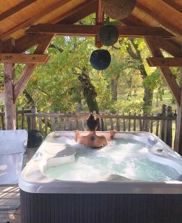 Cabane spa - Rion-des-Landes - 1