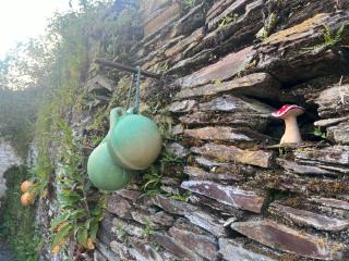 Tregue Cottage - Camelford - 6