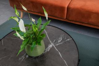 Piazza Cavour Zen Garden-ZEN36 - Rom - 8