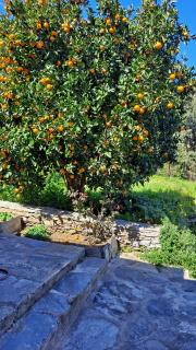 Studio pour couple - 2