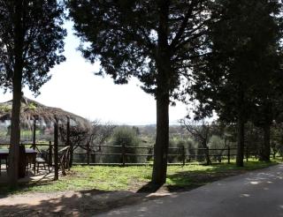 Agriturismo San Guglielmo - Castiglione della Pescaia - 3