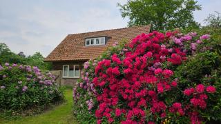Holiday Home Countryside, Langbroek / Doorn - Doorn - 7