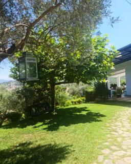 Top privacy Eco Villa of 2023 @ TEG hill Tirana - Tirana - 7