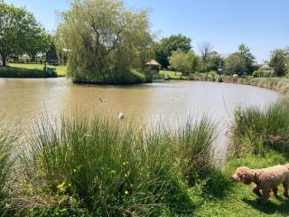 Owls Retreat, Meadowview House - Stoke on Trent - 1