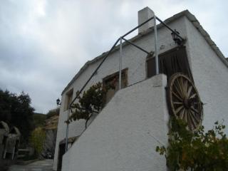 Encina de Lorenzo II y III - Abrucena - 5
