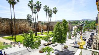 Apartamentos Puente Romano Suites - Mérida - 8