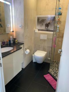 Chambres à loyers dans un Penthause - Bourg-la-Reine - 3