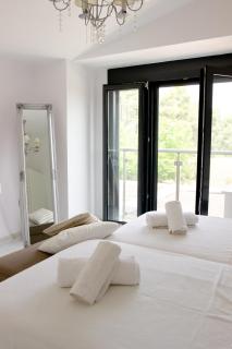 Serenity Villa in Sani - Sane - 2