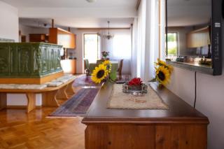 Premium house Anika - 1