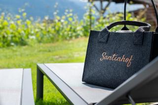 Santinhof - Tramin an der Weinstraße - 3