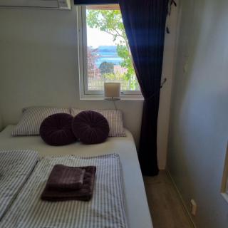 Apartment near center / free P - 7