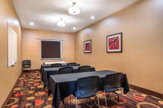 Best Western Plus Kindersley Hotel - 4