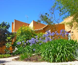 Casa dos Sonhos, private terrace, quiet location, walking to village, ecological pool, pets considered, nature friendly - Barão de São João - 7