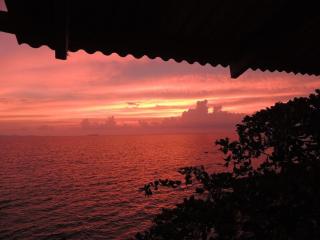 Jungle Hill Beach Bungalow - 7