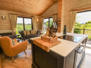Moonlake Lodge - Bideford - 6