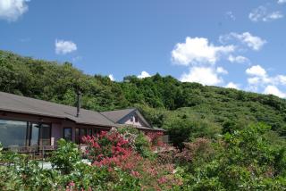 Mashio Hotel & Resort - Oshima - 0