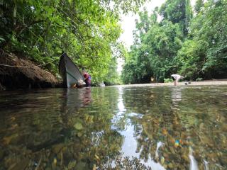 Snonbepur homestay Raja Ampat - Sageurin - 6