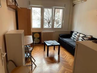 Apartment Savski Venac - Belgrado - 3