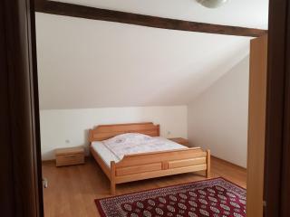 Villa Ilidza - Sarajevo - 3