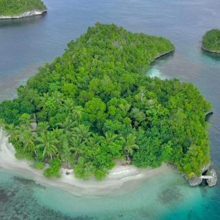 Snonbepur homestay Raja Ampat - Sageurin - 7