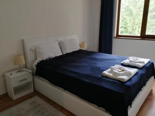 Sapphire Mountain 1 - Bansko - 2