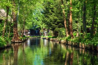 KNAUS Campingpark Lübben - Steinkirchen - 9
