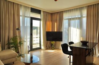 Luxury VIP apartment - Tbilisi - 1