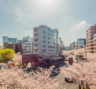 Sakura Stays - Tóquio - 1