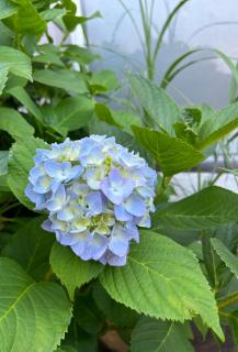 アルピエm 敷地内無料駐車場2台分 置き型無料Wi-Fiあります 平屋瓦屋根の日本家屋 - 5