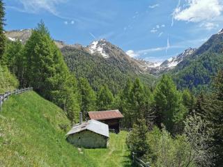 Idyllisches und alleinstehendes Maiensäss in Valposchiavo - Poschiavo - 8