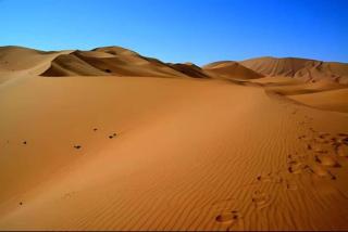 Bright Star Desert Camp - 9