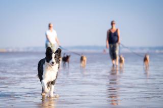 7 The Dunes - Braunton - 6