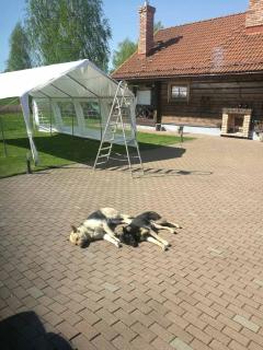 Skliausčių laisvalaikio centras - Skliausciai - 1