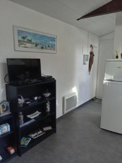 Pinede - Carcans - 1