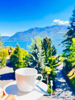 Enchanting View of lake Maggiore Mountains - Brissago - 5