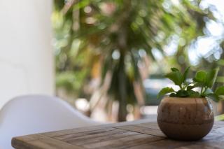 Rock Palma Apartments - Cozy, spacious and family friendly - Noord - 1