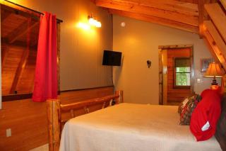 Red Dog Barn: See bison traverse in front of cabin - Clyde - 7