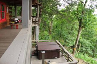 Red Dog Barn: See bison traverse in front of cabin - Clyde - 1