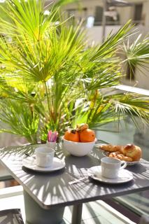 Appartement de rêve avec terrasse et garage - Cannes - 5