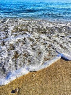 Affittacamere Villa Anna - 1