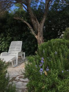 Prcanj Beach Apartment - Kotor - 1