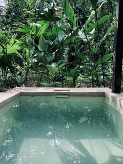 AIRE Jungle Boutique Hotel - 9