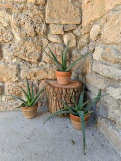 Al drago Maraone - Sefro - 6