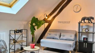Le Cosy Dampierre - 7