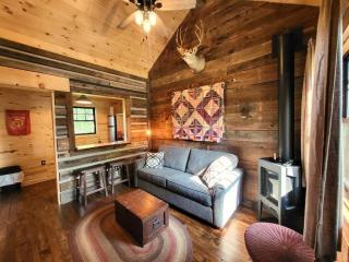 Adorable Old Timey Lakeside Log Cabin - Little House on the Big Arb - 0